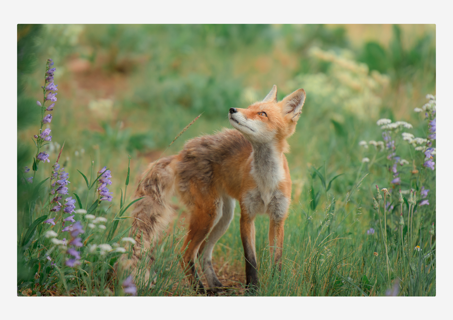 Landscape calendar (2026)