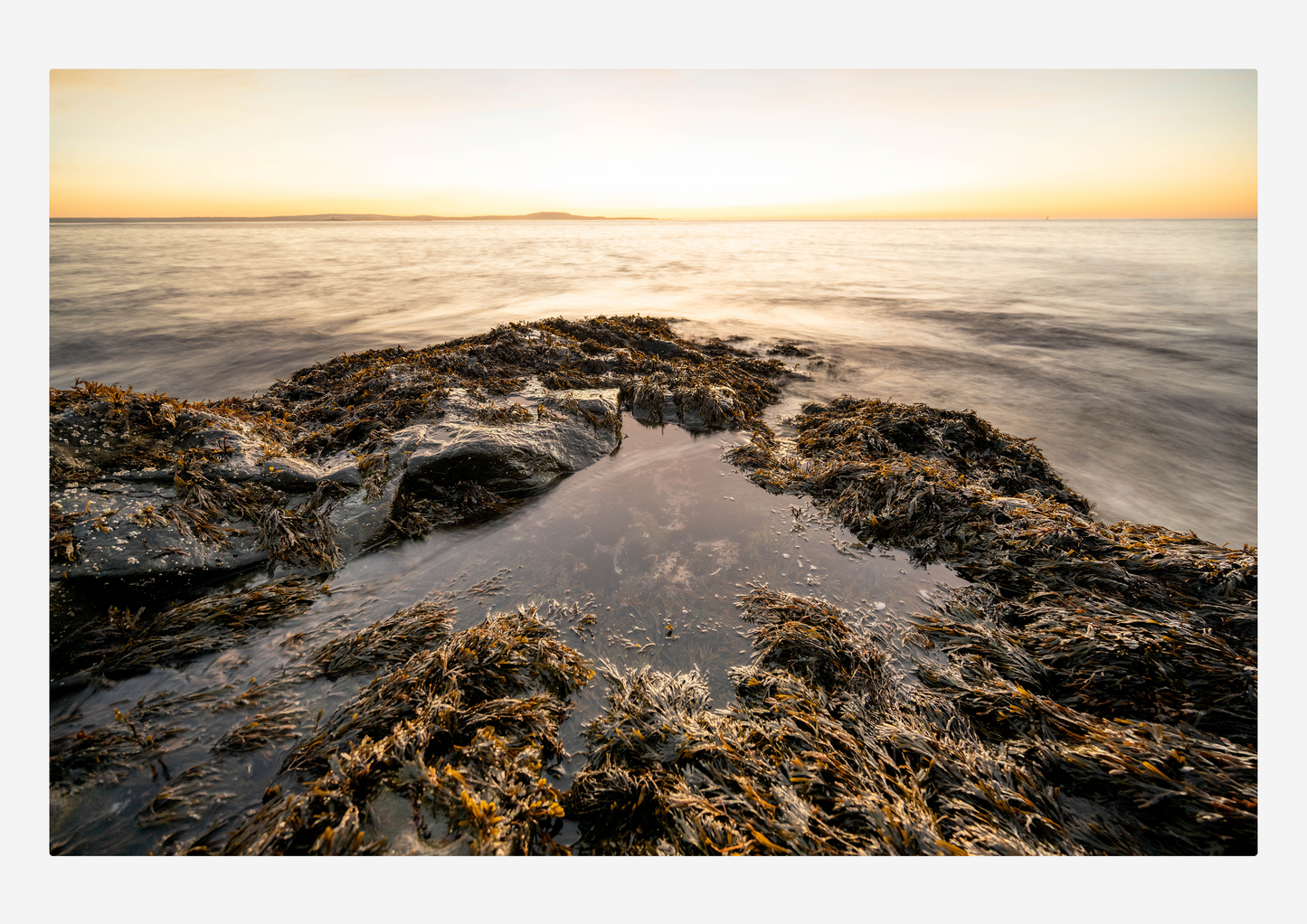 Landscape calendar (2026)